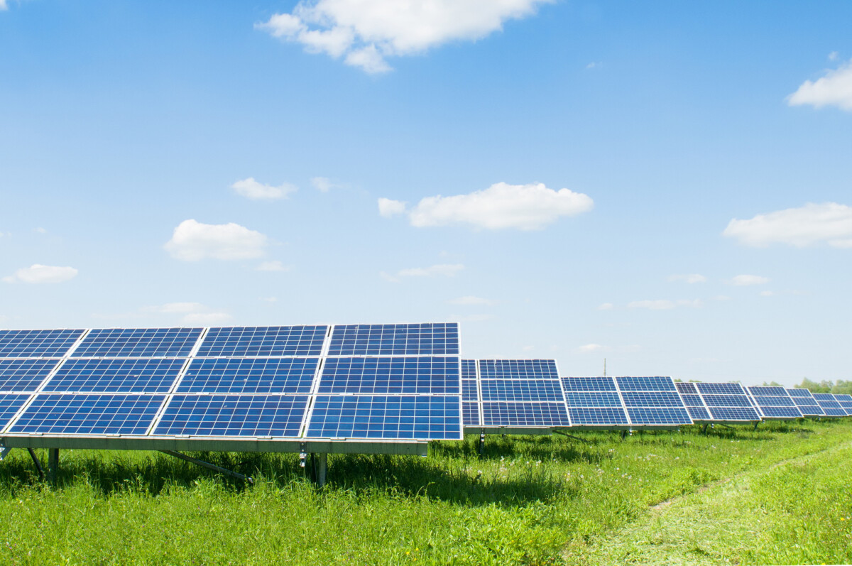 Local Solar Panels