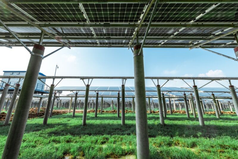 Does Solar Energy Save Money